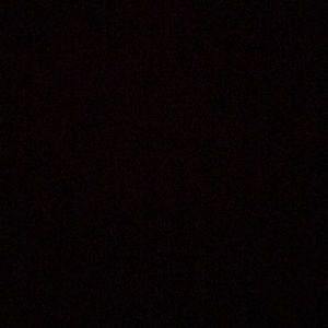 Meet your Posher, Dolores